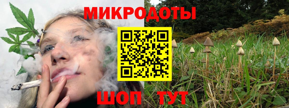Псилоцибиновые грибы Psilocybine cubensis Ликино-Дулёво