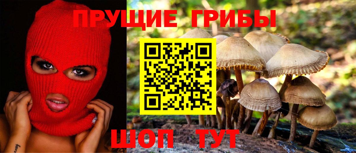 Галлюциногенные грибы Magic Shrooms  Псилоцибиновые грибы Psilocybe  Ликино-Дулёво  наркошоп  Вход с VPN 